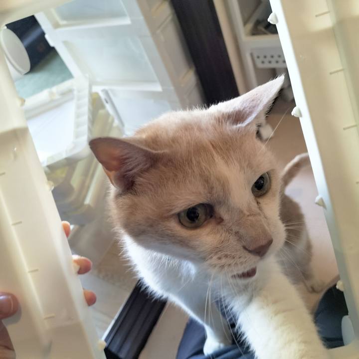 75d6cd49 9d7c 4ca2 af2a e72dcb1849df 1681644776315