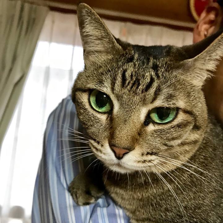 75d6eddb 9e9e 456a 9894 85d278caa73c 1545261532041