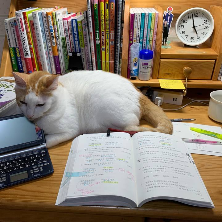 75d6fefa 9dcb 410f ad03 b6204a96a301 1635798429727