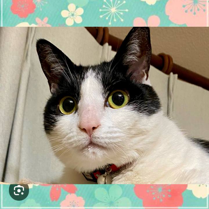 75d71020 23aa 4057 ad31 a684ac76a70c 1740980153937