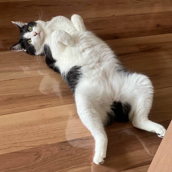 75d72c03 3d46 4f14 a44c a45c1aff6909 1658115776929