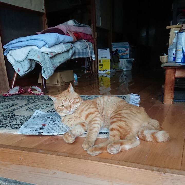 75d746c8 8945 4d3d 864f b9326fe0d8b4 1662152675528