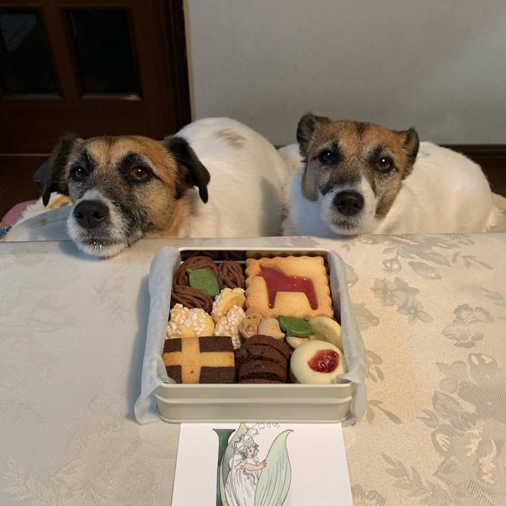 75d791ae 5133 4a2a b8d4 35253a419edb 1650086223102