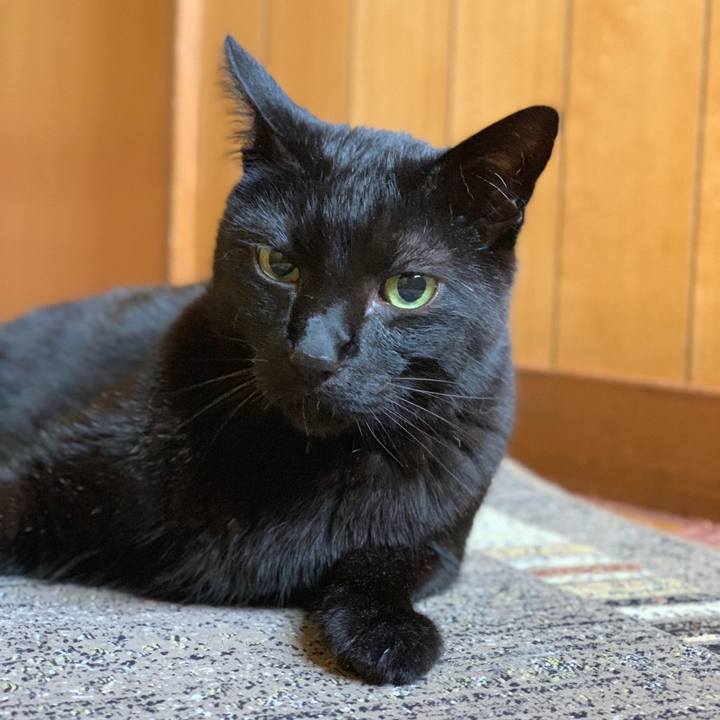 75d79d68 b1ef 4923 bcfe 1784b01fe201 1590626572796