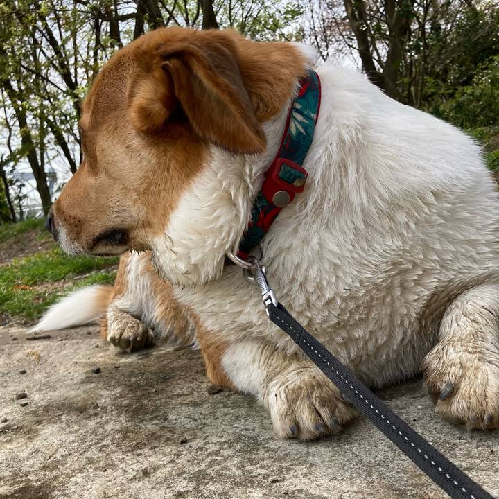 75d79e30 1ed4 472d ade3 a4fb78ee0d66 1650584846826