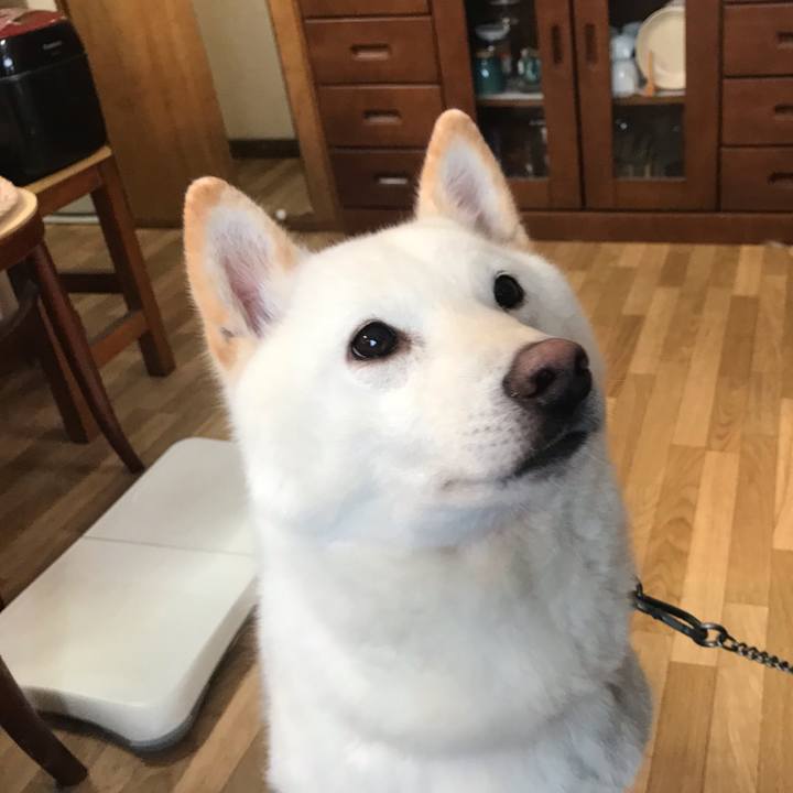 75d7bd2b d866 434b 92aa 96494843efe2 1546300501651