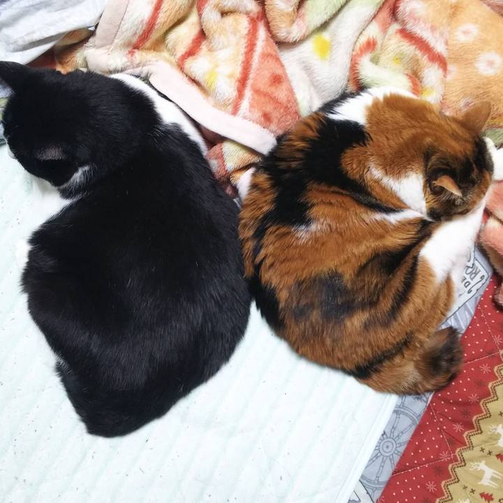 75d7d091 acb2 4947 a807 5018baa67636 1547905514517