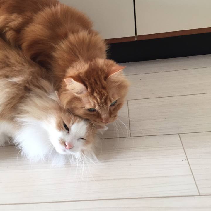 75d7fe59 3399 4e14 9718 a19358f8bc2d 1551654491810