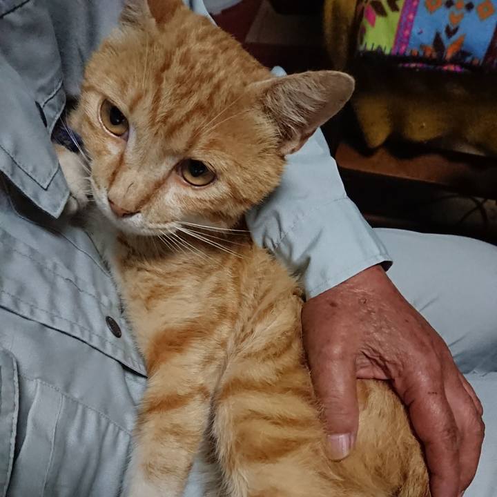 75d80bfe d44a 49b1 96c8 155488c673c9 1561325417722