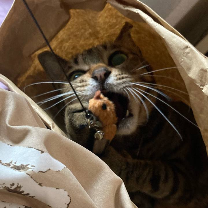 75d8114d 1820 4de9 b85e d4ced8bf7291 1682149343044