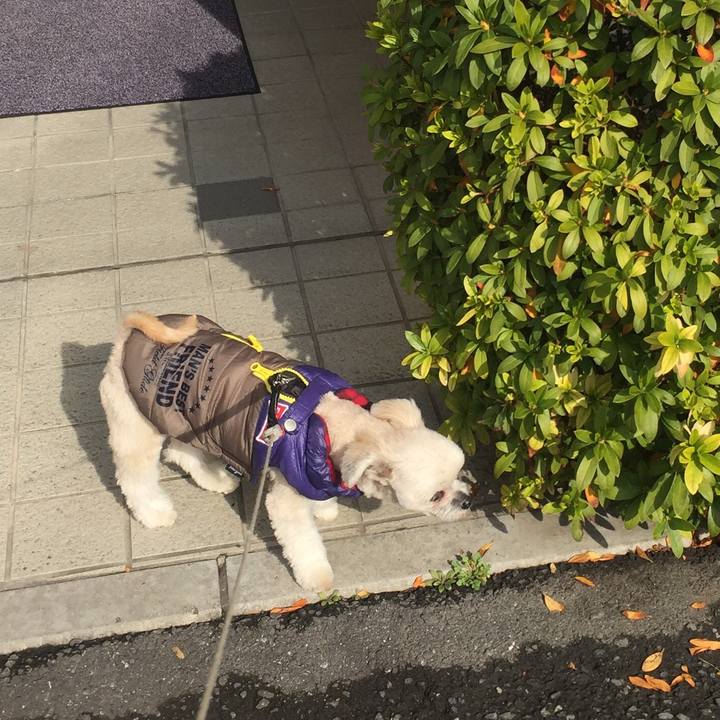 75d8185a 558a 4f74 bf3d c7aa9d6ffc95 1549543477709