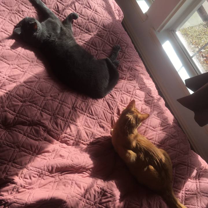 75d8388e 82a7 4d0b a2e1 9bcbe36939b7 1646964145347