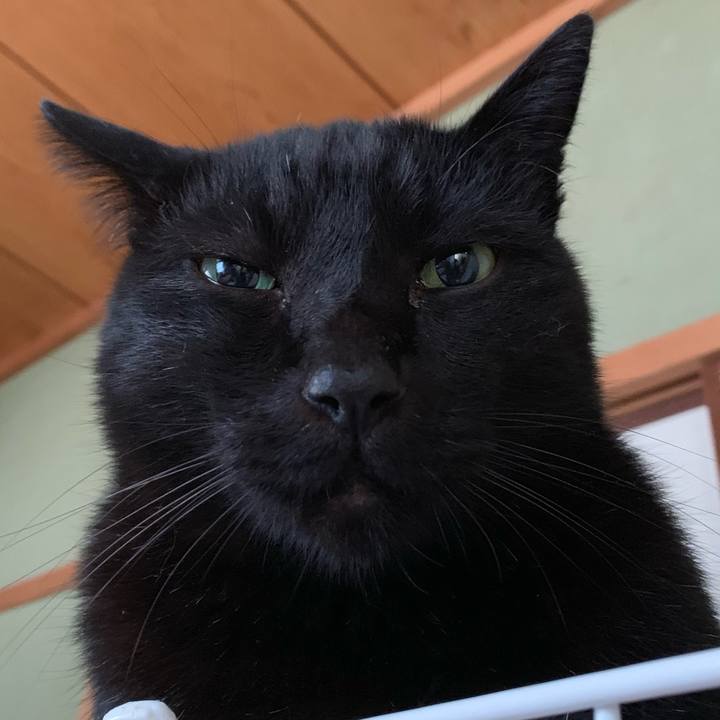 75d84fff 4427 4509 beca 97cbd1e3d423 1544057011816