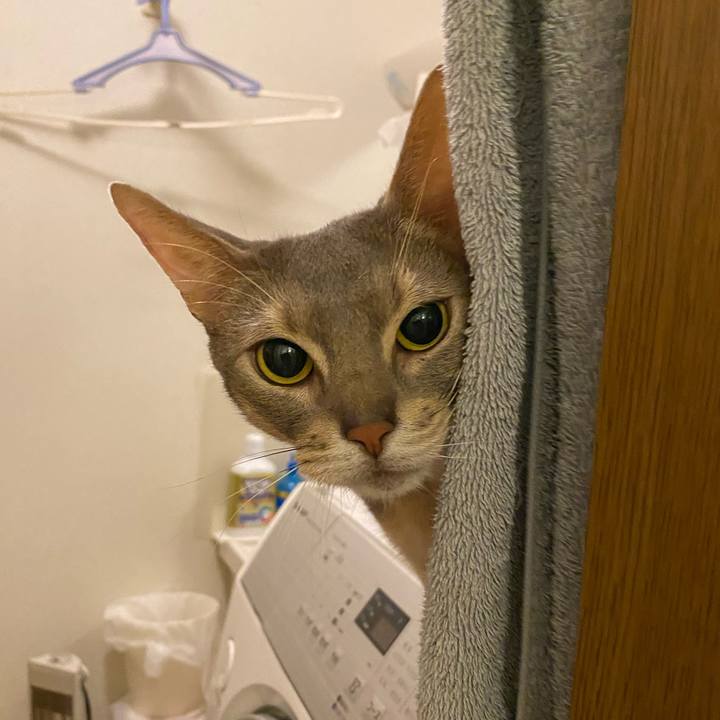 75d88f79 d723 49c0 a8e8 b75986cee1c8 1767189091200