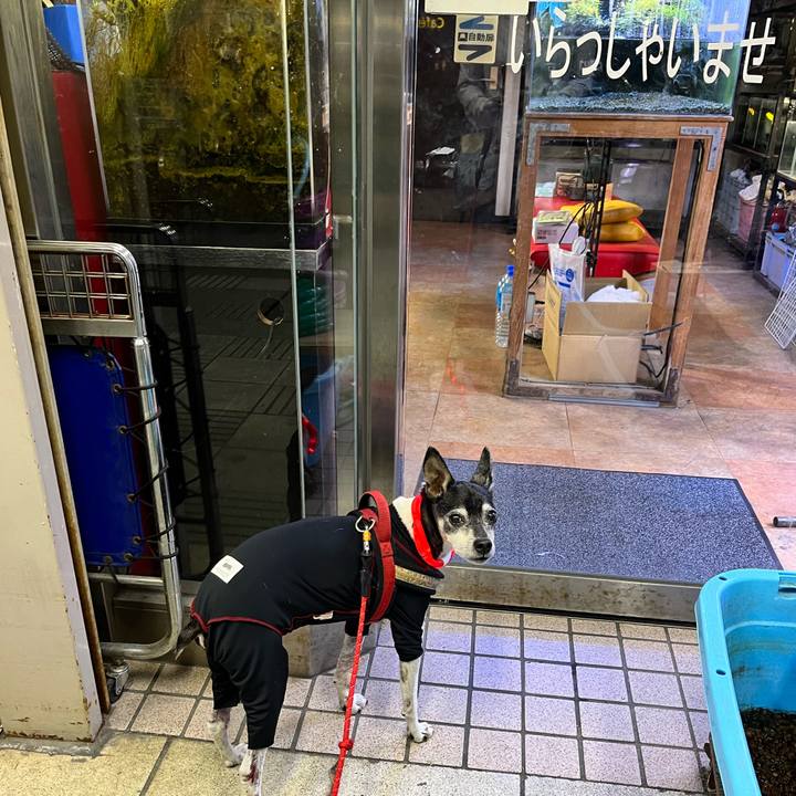 75d89f0d 46ad 4699 a422 17cd85a9dbb7 1649677546820