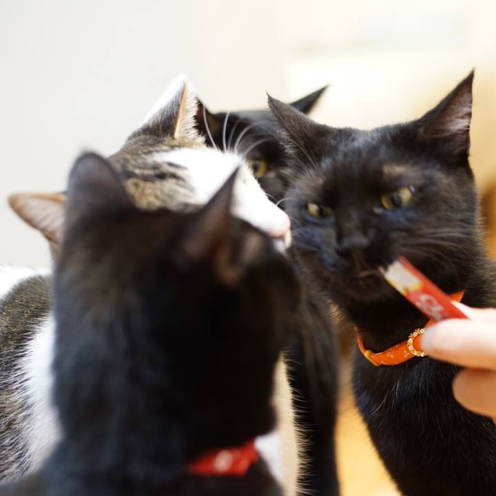 75d90c89 0020 4d02 9900 fee9990fc88e 1536762130020