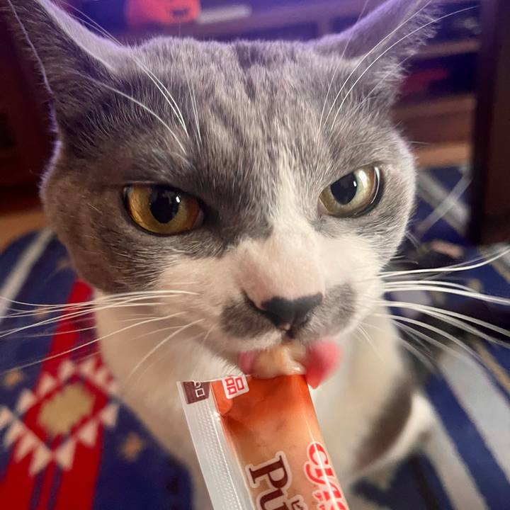 75d92053 ab39 4b58 8c5e f4633fc074ab 1665555289460