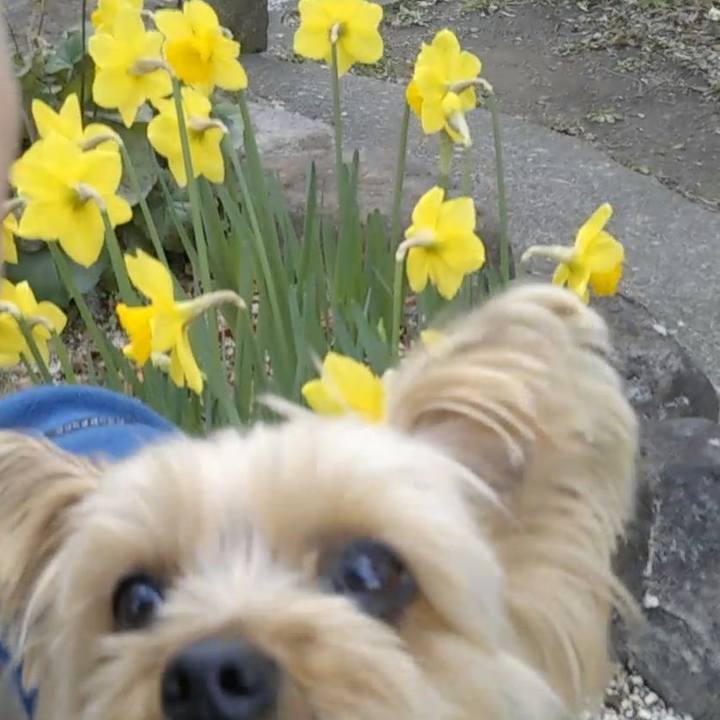 75d92104 1563 4a19 ab2b 0535f4cf1ee5 1710029993293