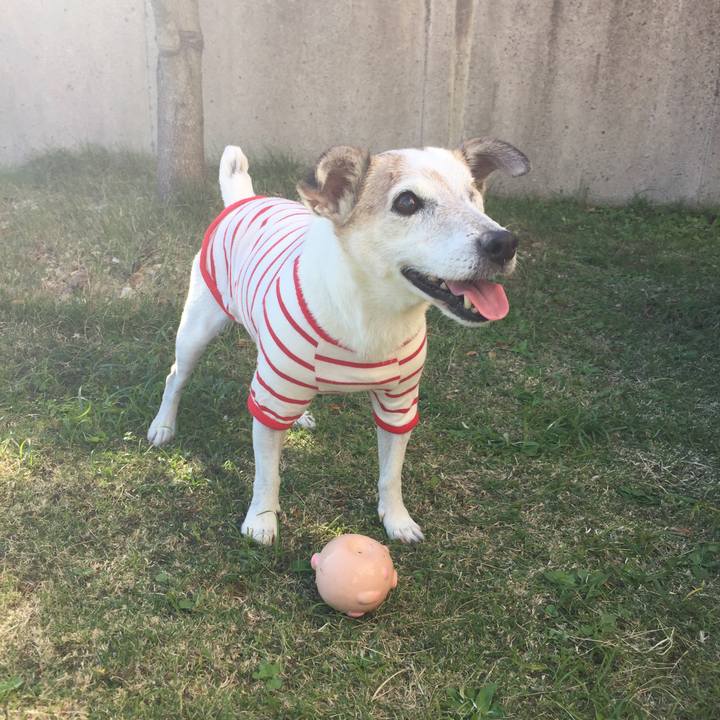 75d94fb1 f301 4f8b b094 5e46c9fdb89d 1510398917901