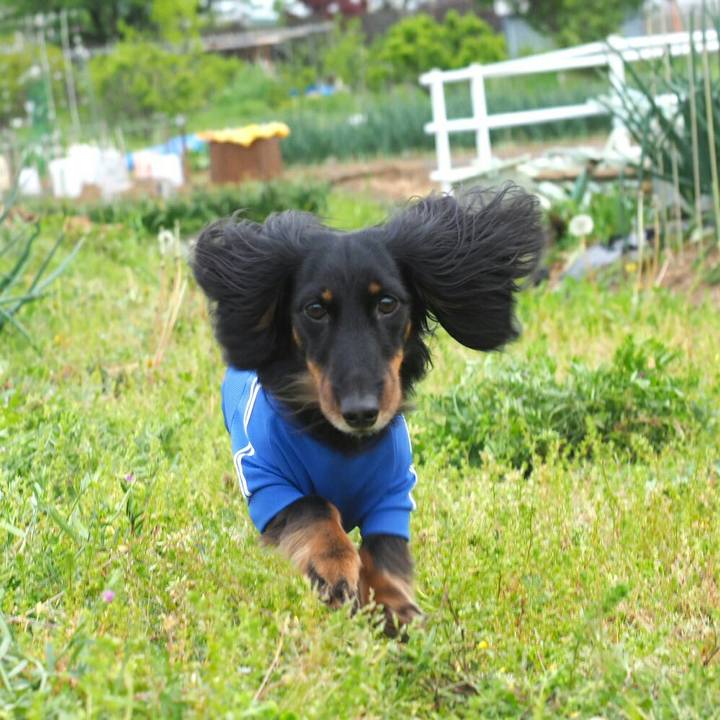 75d95d13 8596 455b 9a8c 7ff1f9952777 1557119373516