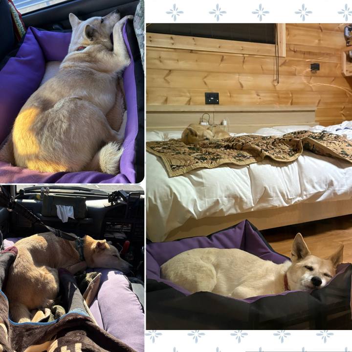 75d96de0 19c8 410b a120 8be723400522 1770992783788