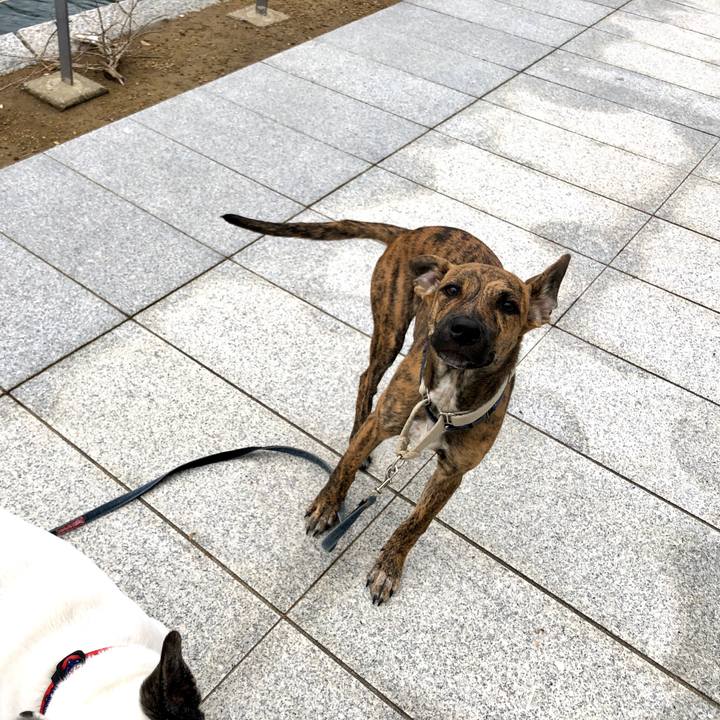 75d975fa 54fa 4538 b226 3370ae6d89ea 1573456698918