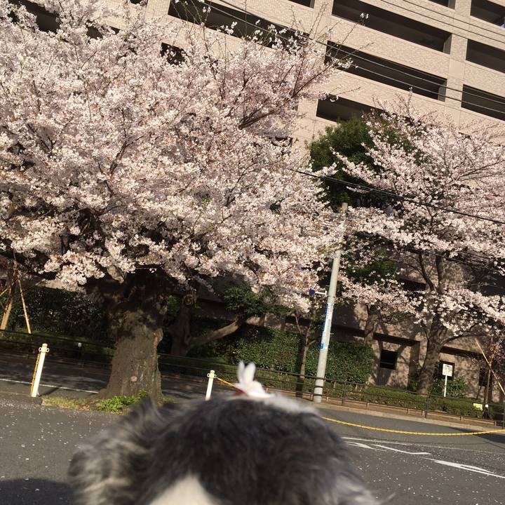 75d99a5a c095 4ed6 ad72 d153072b8e64 1554417805139