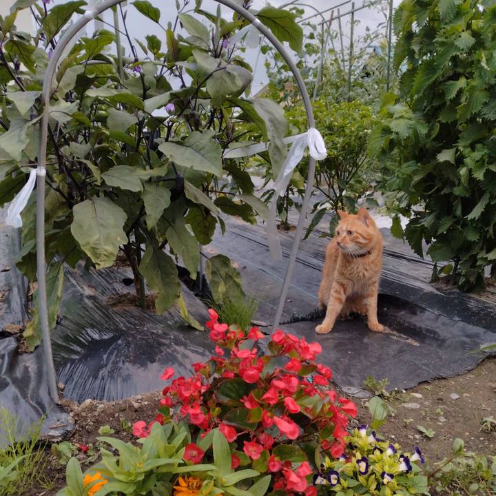 75d9a544 1080 4ccb bc36 6f319aa295e1 1689500393454