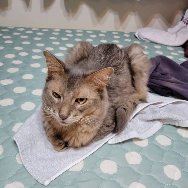 75d9fdd2 d917 4c91 a7d2 a0e7a9a9449d 1657681202514