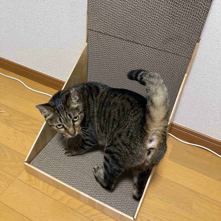 75da222f d1b3 4327 b91d 4990406ef789 1686487631258