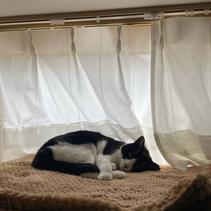 75db1920 f0f0 41f8 80d4 128115c4fc23 1713681419506