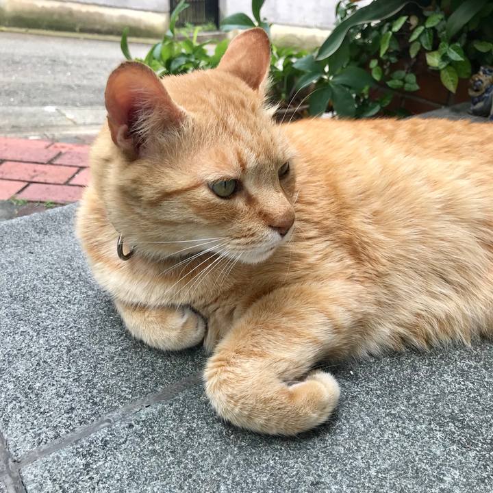 75db808d eec3 4ff7 ae68 031fa0a17fe9 1528014984380