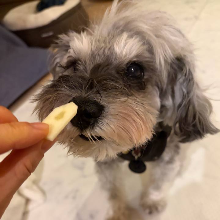 75dbc2bf 88d2 4bca 9089 9ecae84b894c 1765967681637