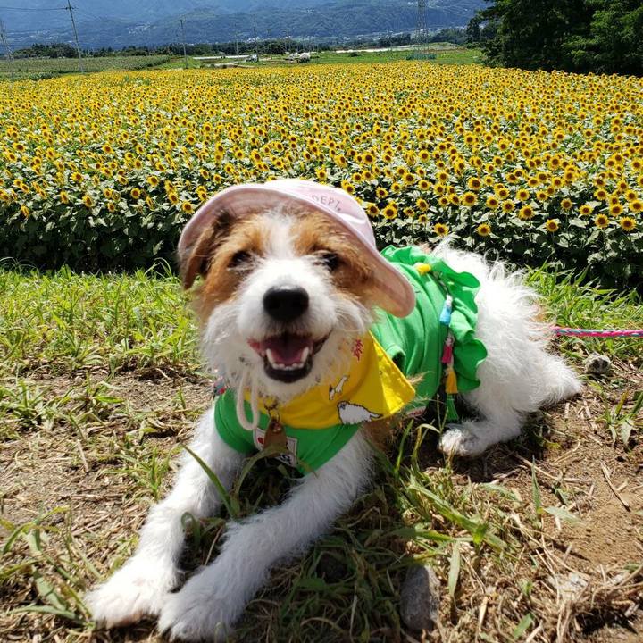 75dbe08b 0fa3 45d2 a31f 4252507f7a1f 1590815146266