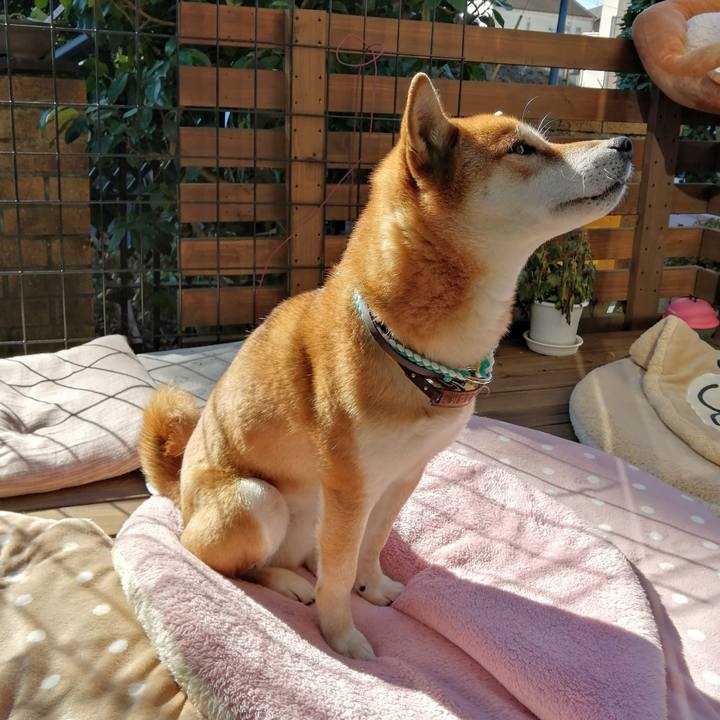 75dbfab4 2a08 48c8 8eac fd9062273158 1611882980640