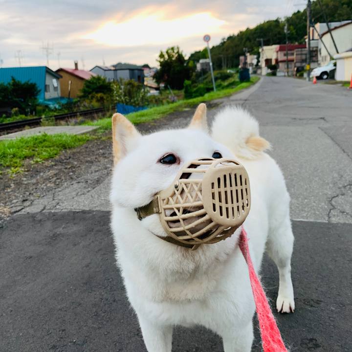 75dc27eb 05e4 42ef aabe 9fec4ff97e6e 1600808657641