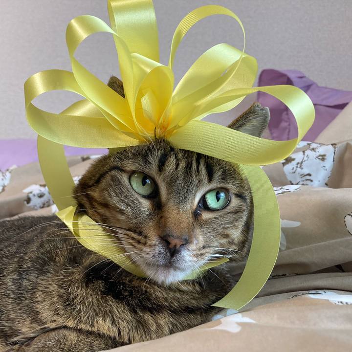 75dc3c63 04a8 4fdb 9814 52c9f1e230e1 1645278638676