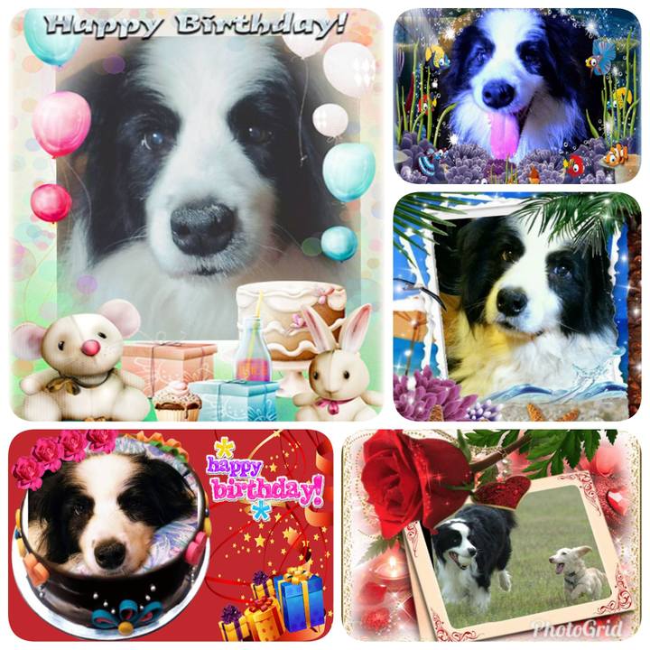 75dc445f cac3 4ccc 82da 5c7fc8ec2988 1563465903953