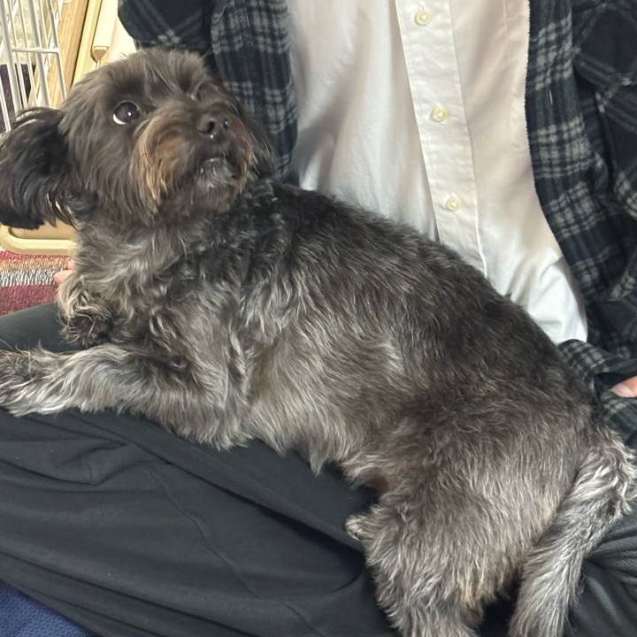 75dc5968 bd1f 4ac5 aaf1 dbeef05aa61e 1762952985304