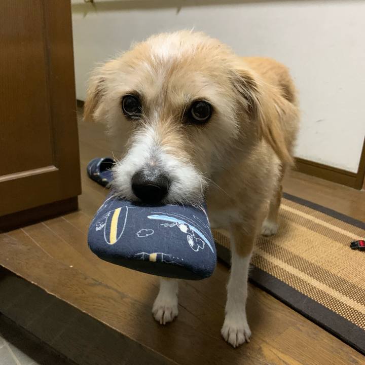 75dc7259 e6f4 4e93 8d2d c70bef38426e 1578094904290