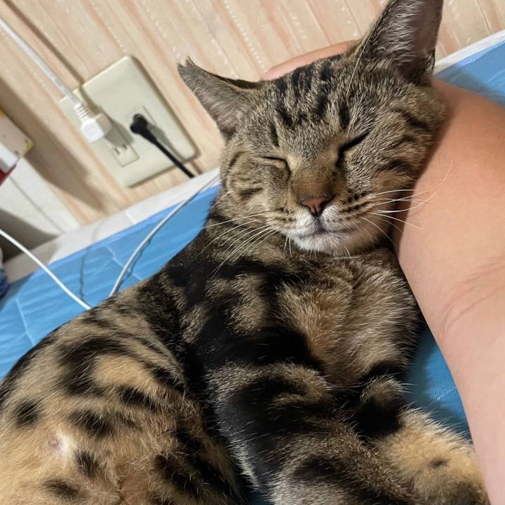 75dc8b76 7aed 4e02 a1b1 24712226daeb 1695971250063