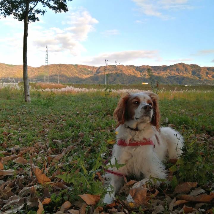 75dc92fe 6954 4083 8fd2 172d964f05a7 1606122553787