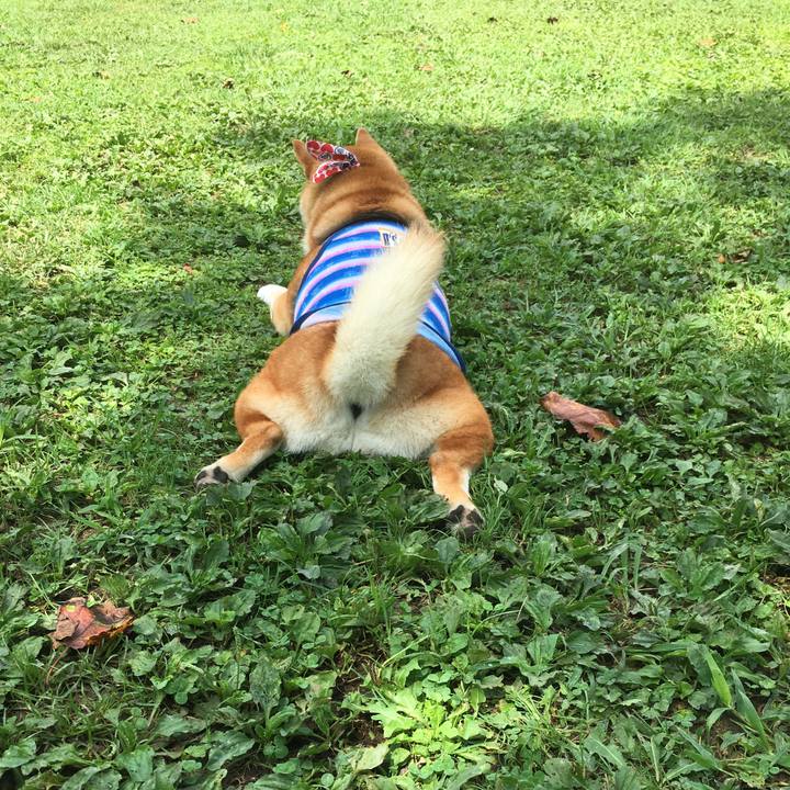 75dca456 c1ce 4a5e a1c0 5d307abe70bc 1535250428359