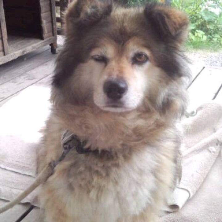 75dd0afe 076a 44fe 99dd 924b9ad6b4f0 1557802993579