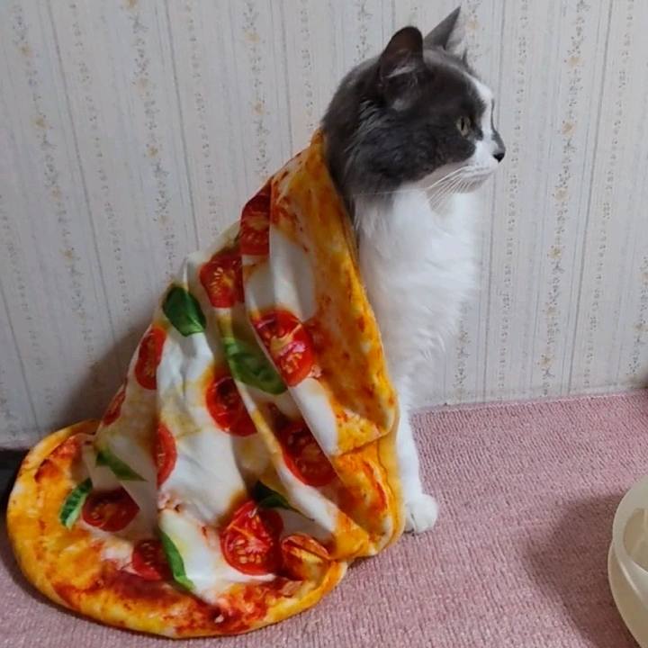 75dd9c15 1533 423b 9e6d 3968c5bae58a 1638185756388