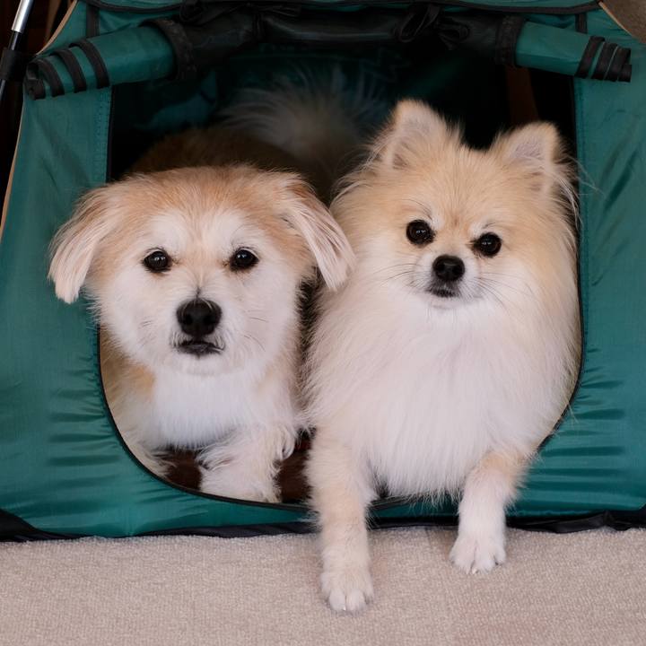 75ddf33e b6d4 4624 a307 f79e85f59eb5 1759960018147