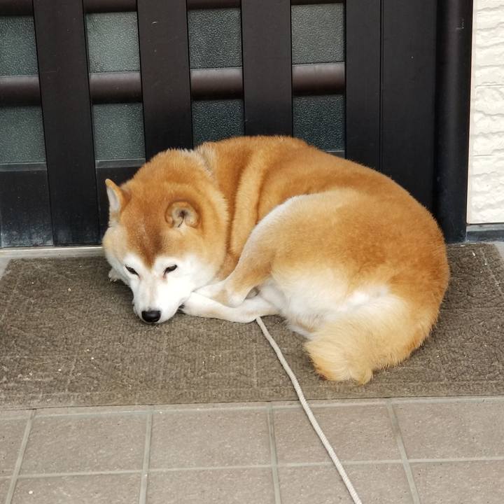 75de1a84 5276 4fae 86ba 84dc574beb9a 1635636449009