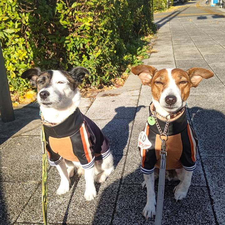 75dead89 b60e 4763 9cf1 550686cf27e6 1671330699854