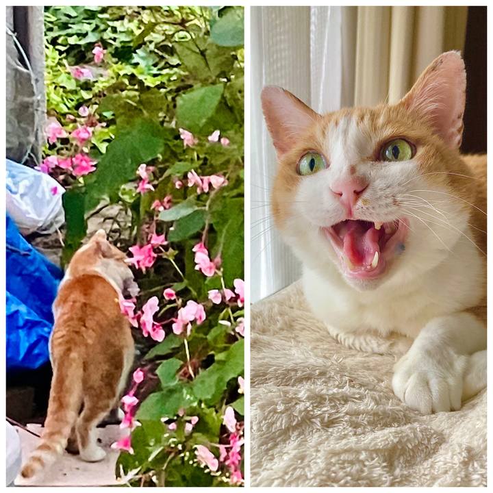 75deaeb5 1a5e 4dc4 af72 4355a32fd38c 1759048991259