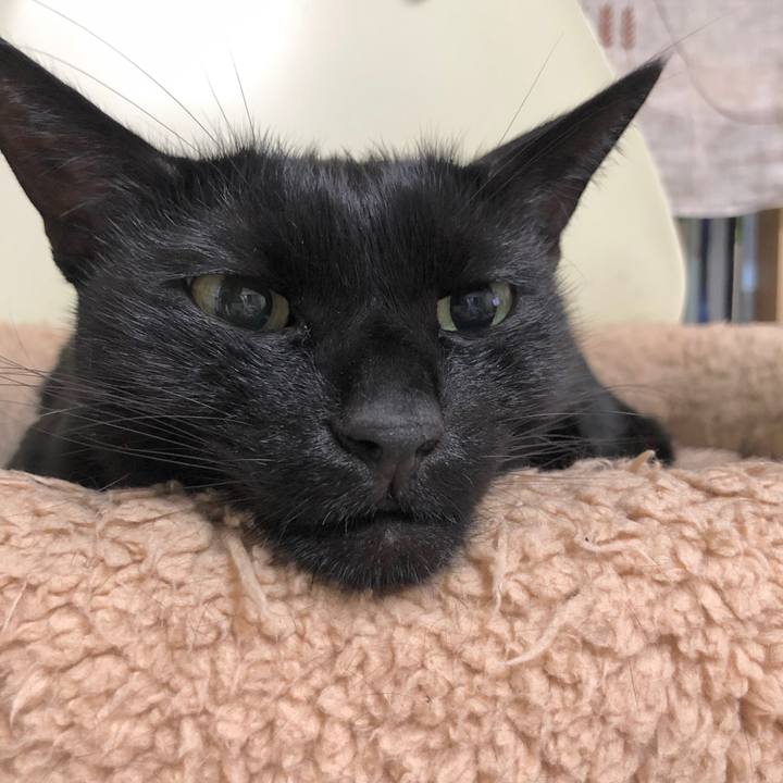 75dedcc3 90d7 412c 9e34 802782794c29 1599228380039